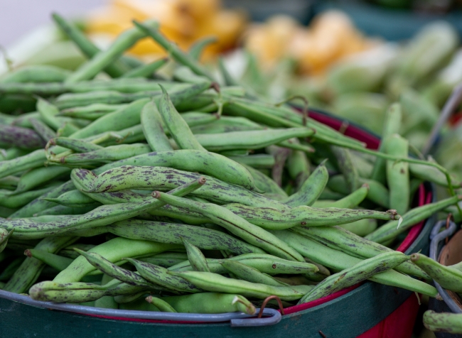 bunches of rattle snake pole beans in basket at local outdoor ma