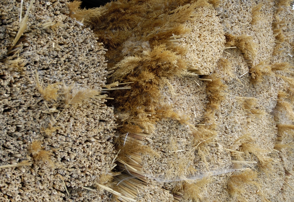 Bundles of natural reed and grass used to build thatched roofs