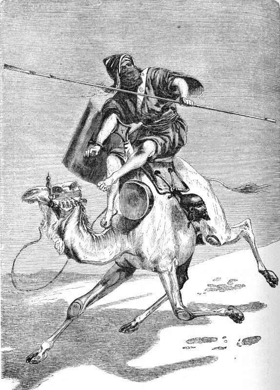 camel equipped for war illustration
