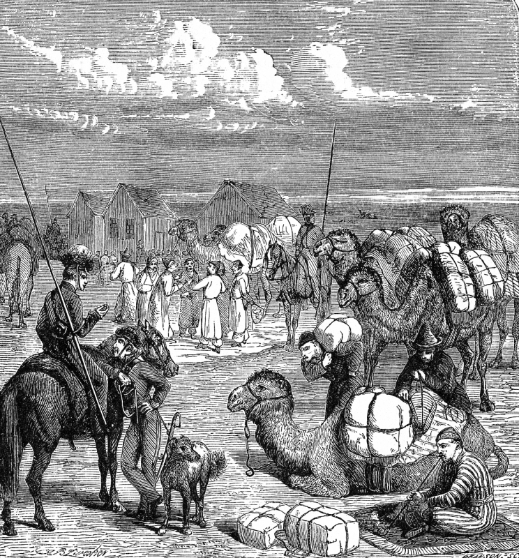 Caravan In Russian Territory Historical Illustration