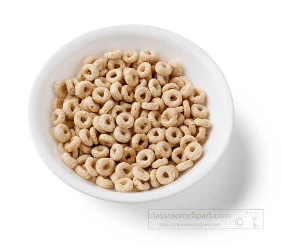 cereal in white bowl no milk