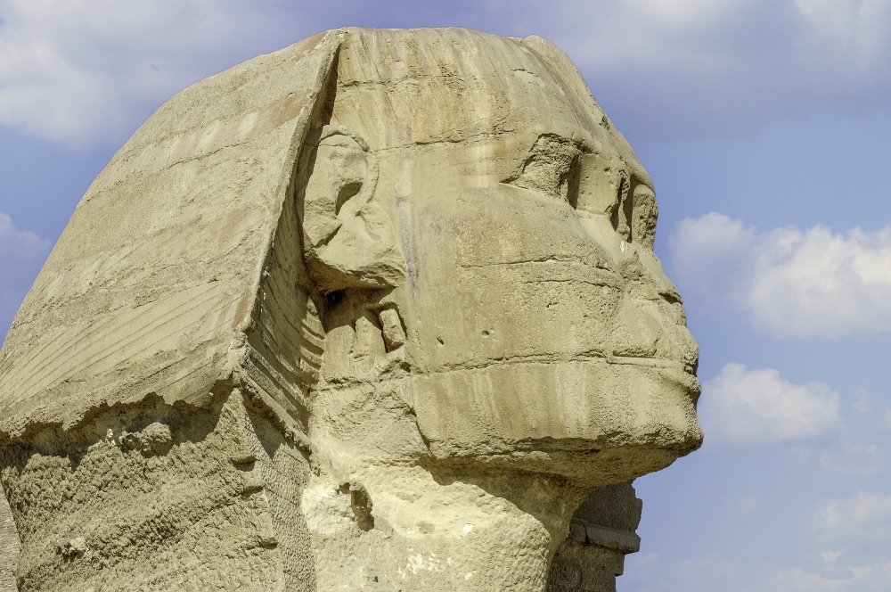 Close up of Sphinx Giza Egypt photo 5399