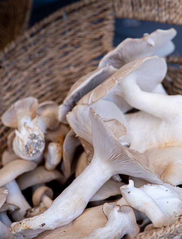 closeup basket of fresh mushrooms at a farmers market