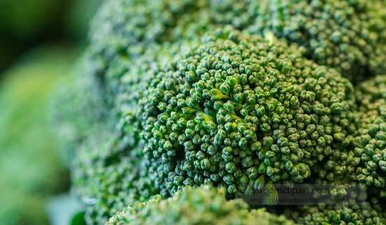 Closeup of fresh organic broccoli