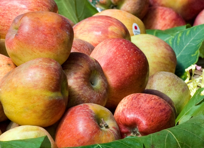 closeup red apples for sale mumbai india