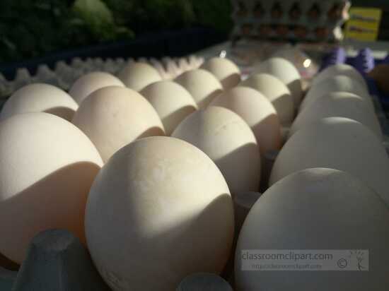 Closeup white organic eggs ready for sale