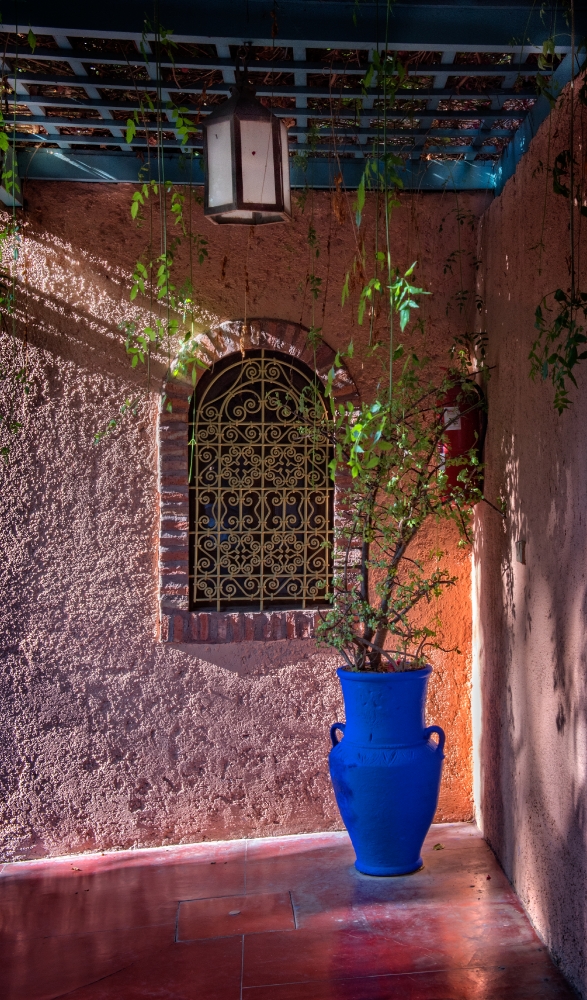 Colorful Blue Planter Jardin Majorelle Marrakech Morocco