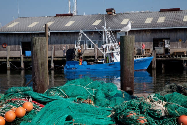 connecticut harbor looking out to the long island sound 5