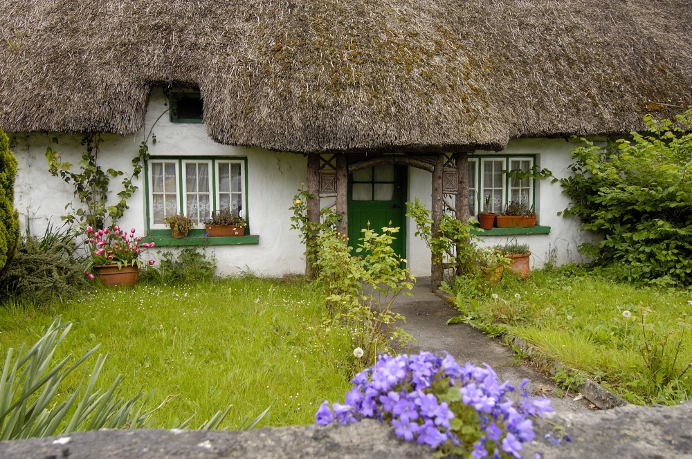 Country House with flowers and thatched roof in Ireland