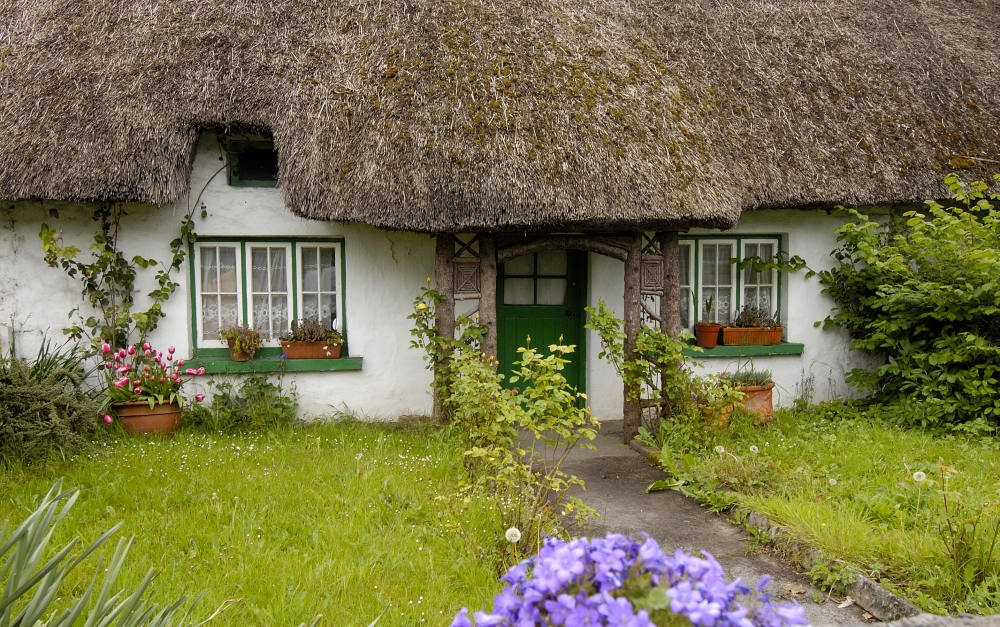 Country House with flowers and thatched roof in Ireland