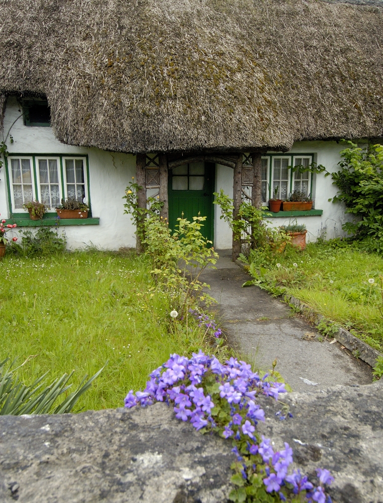 Country House with flowers and thatched roof in Ireland