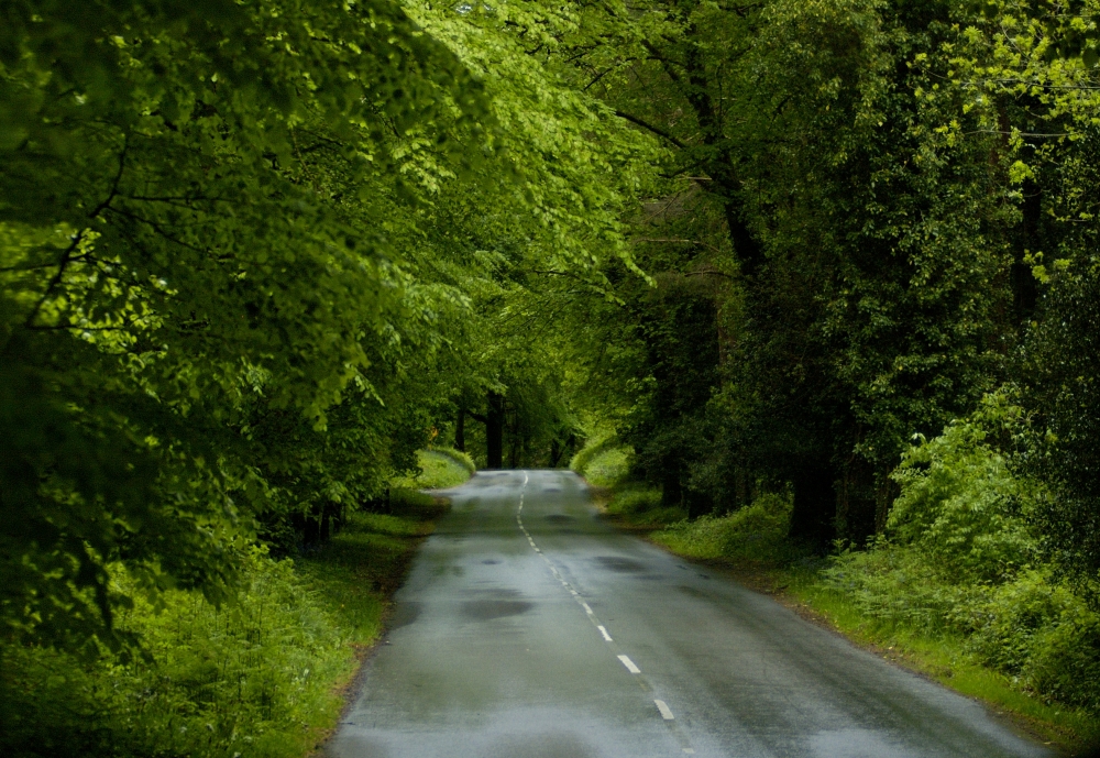 Country road in Ireland