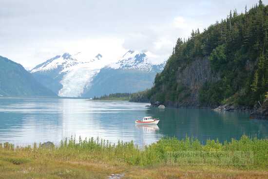 coxe glacier prince william sound alaska