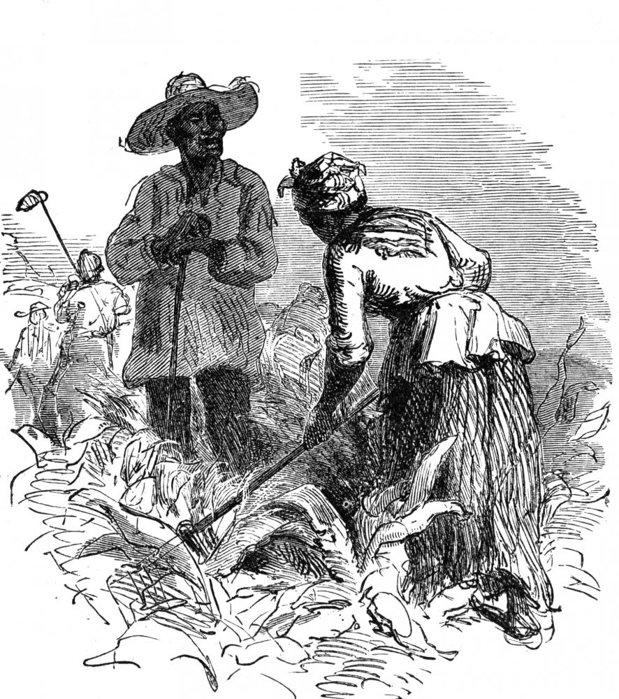 cultivation by slaves 1776a