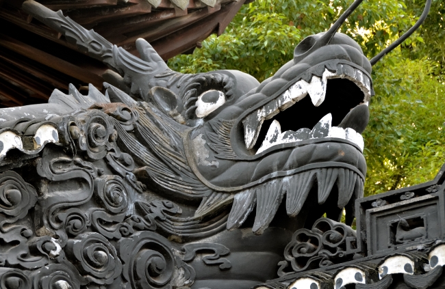 Dragon Yu Yuan Garden Photo Image