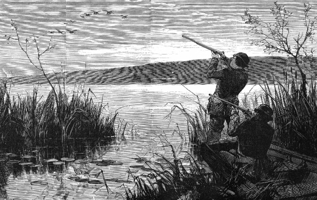 duck shooting on saratoga lake historic illustration