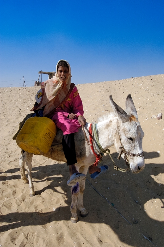 Egyptian Girl Sitting On Donkey