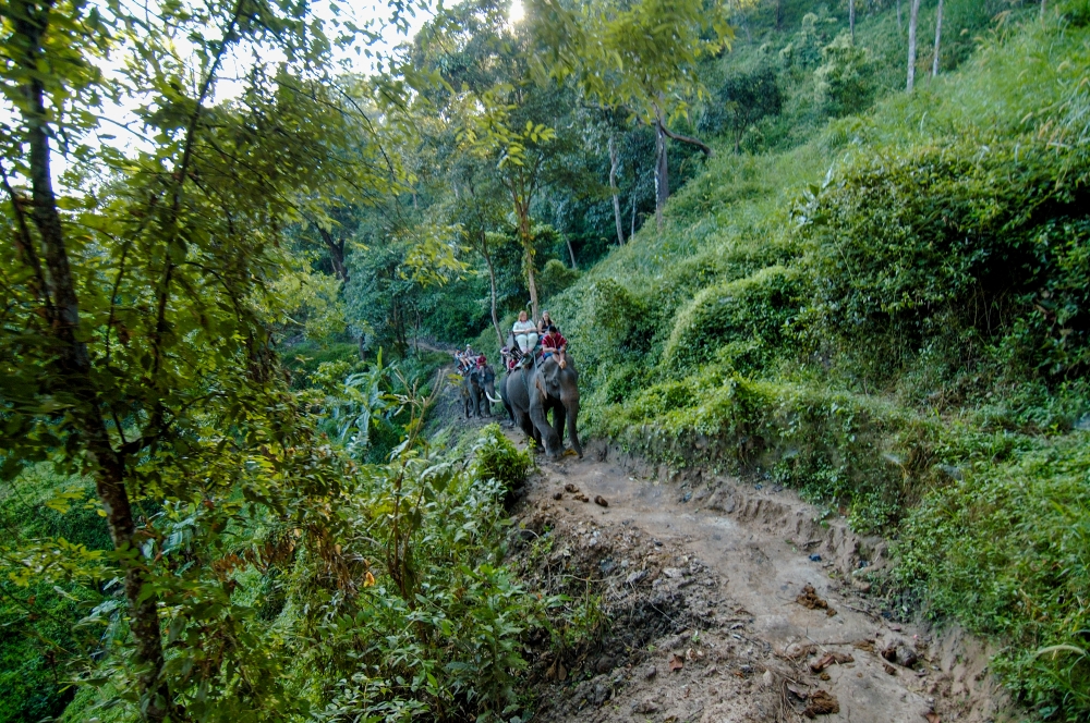 elephant camp thailand 2028-Edit