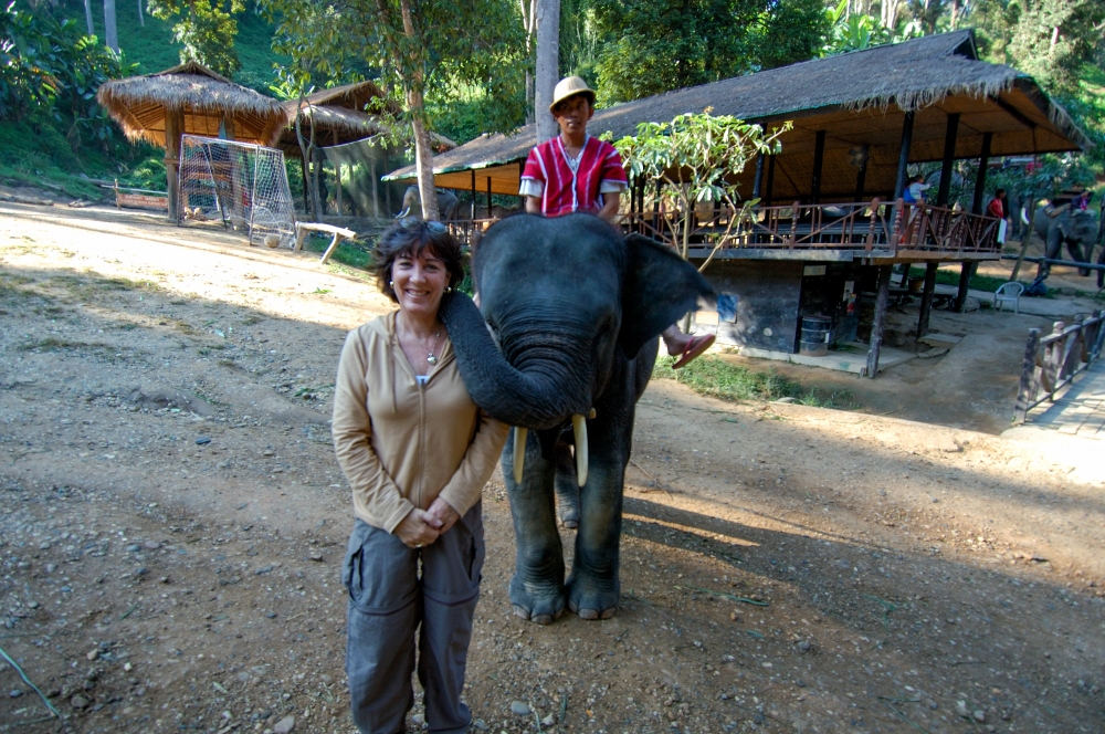 elephant camp thailand 3021a