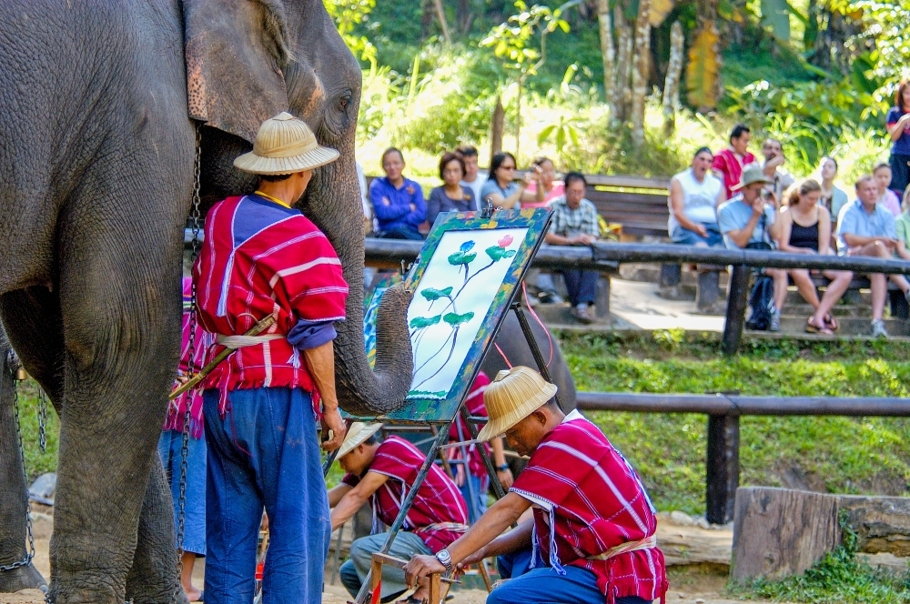 elephant camp thailand 6063B-Edit