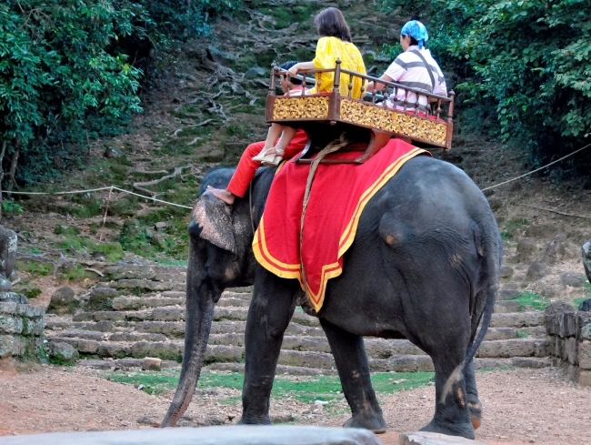 Elephant Ride Cambodia