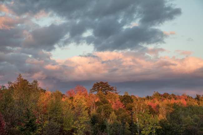 Fall scene near Veazie Maine