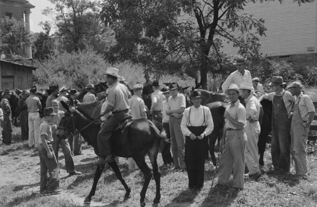 farmers trading mules and horses 940