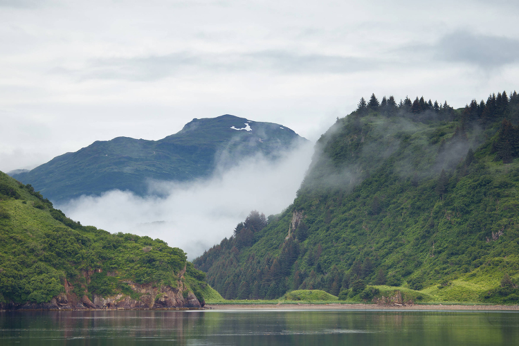 Fog forms in the distance of beautiful Kodiak National Wildlife 