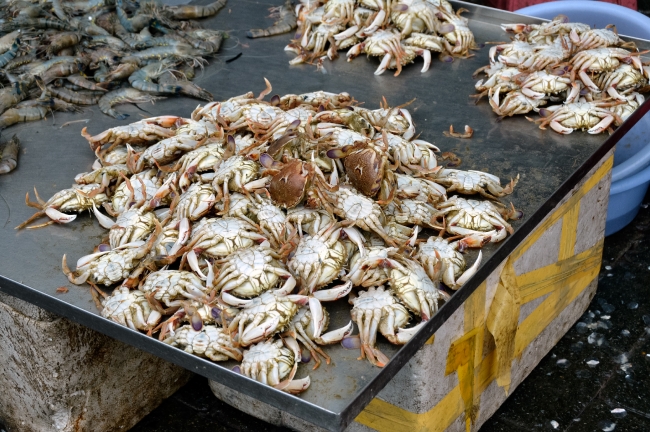 Fresh Crabs At Outdoor Market Photo Image