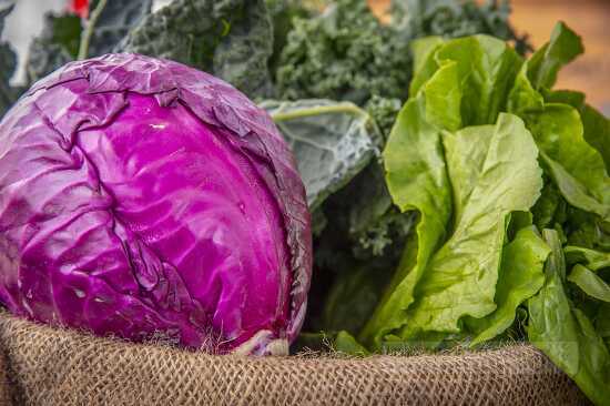 Fresh red cabbage and other leafy vegetables