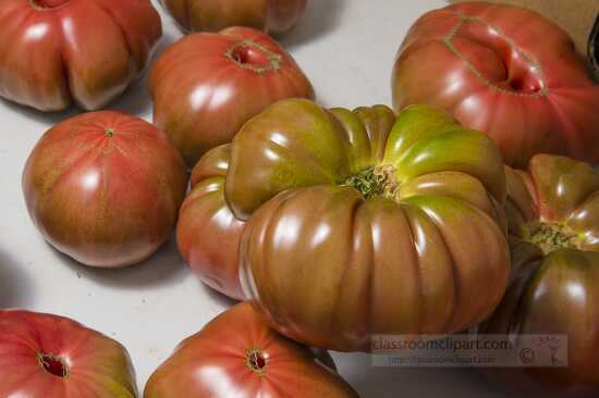 Fresh ripened heirloom tomatoes