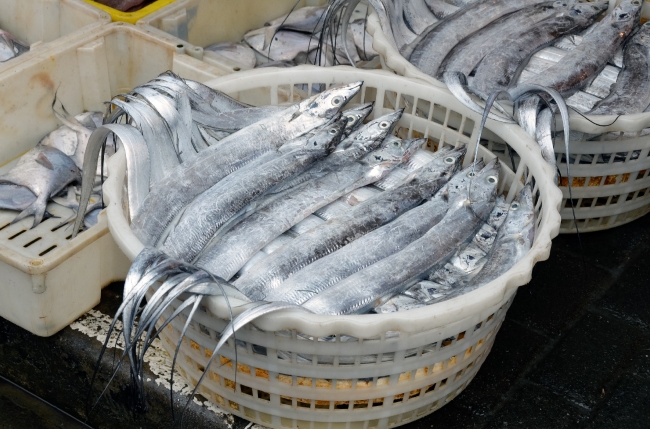 Fresh Seafood For Sale Outdoor Market Stall Photo Image