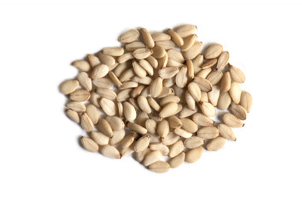 Freshly harvested sesame seeds on white background photo