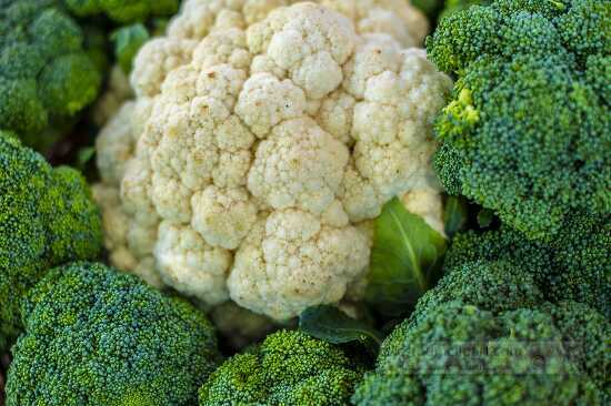 Freshly picked bunches of cauliflower with broccoli