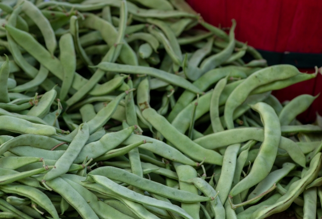 Freshly picked flat pole beans for sale at farmers market