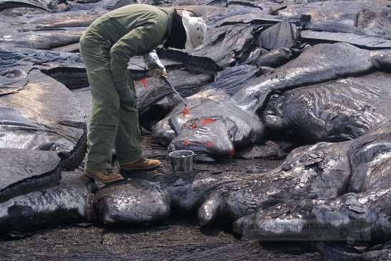 geologists get fresh lava samples as close to the vent as possib