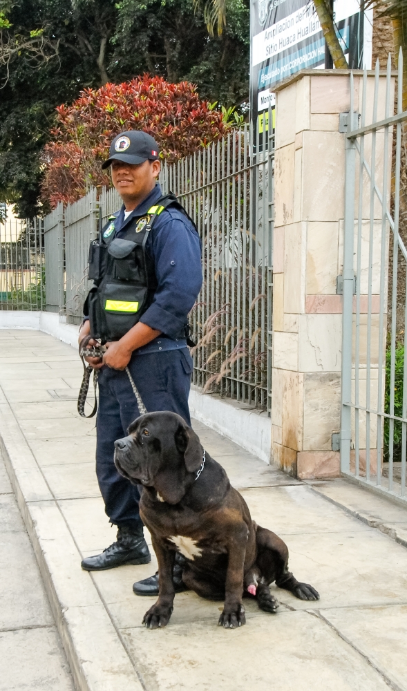 Guard with Dog Lima Peru 3010a