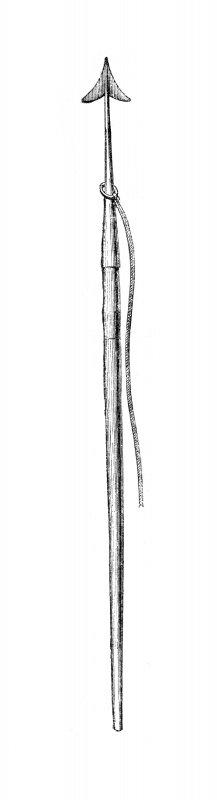 harpoon illustration