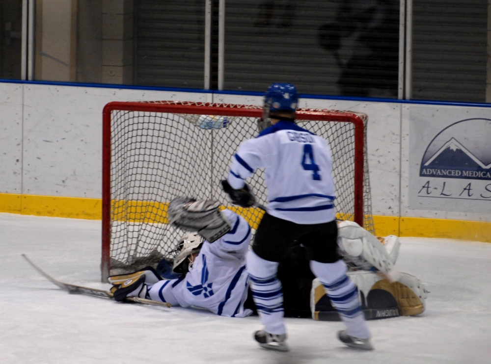 ice hockey goalie 