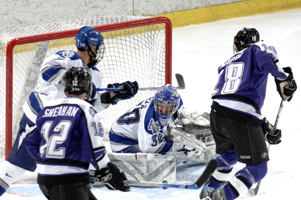 ice hockey goalie protects