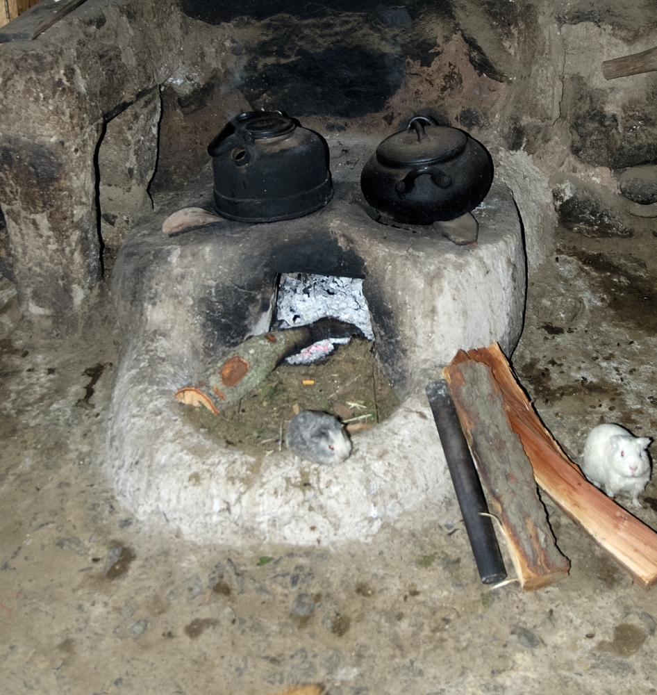 Interior of a rock and adobe style home in Ollantaytambo