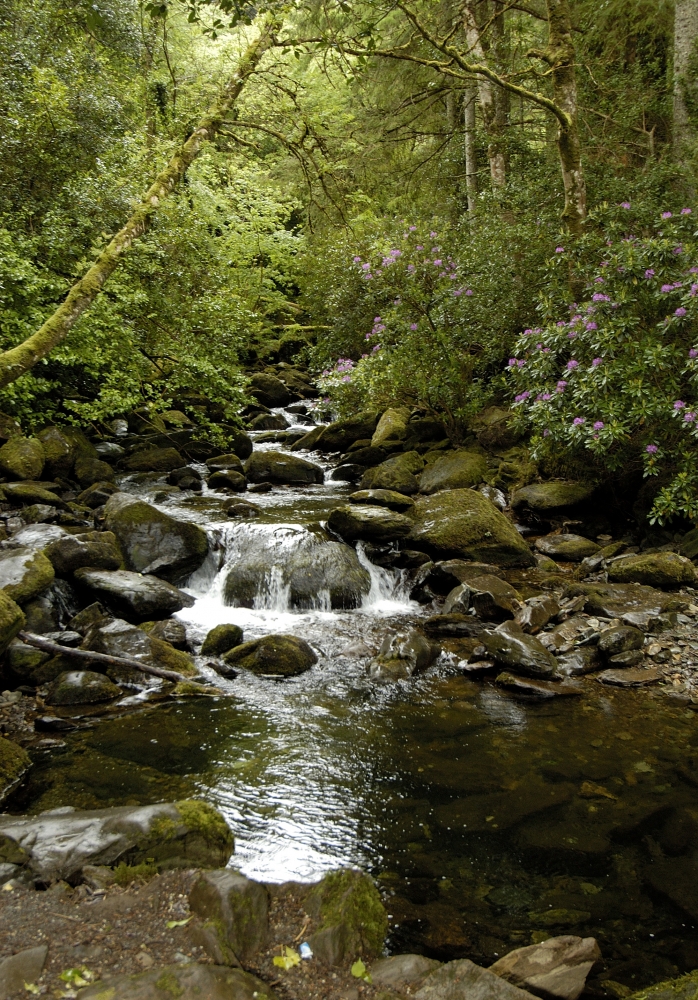 Killarney National Park