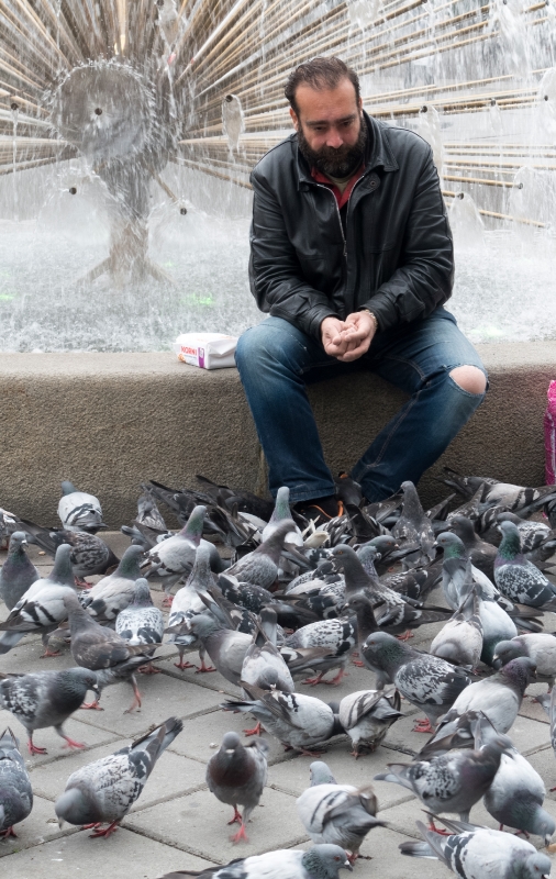 Man Feeding Pigeons Oslo Norway 