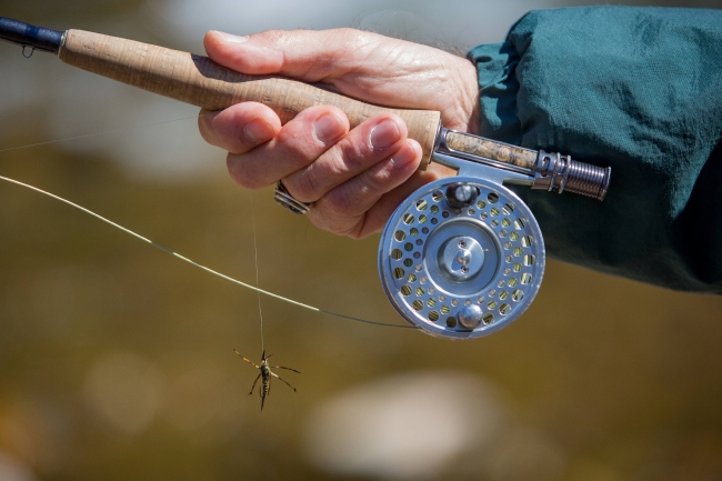 Sports and Recreation Photos-man holding fishing rod