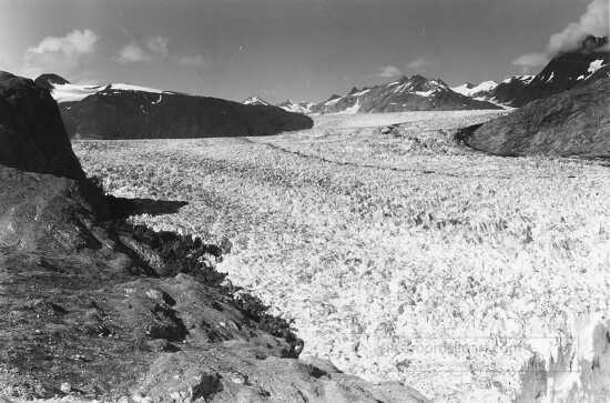 muir and riggs glaciers muir inlet alaska 1941