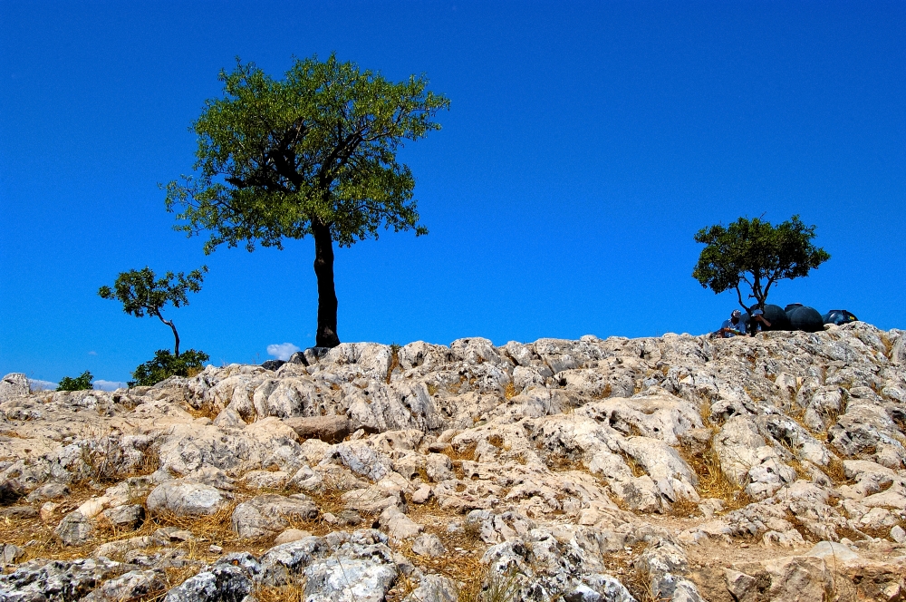 Mycenae Greece 8971L