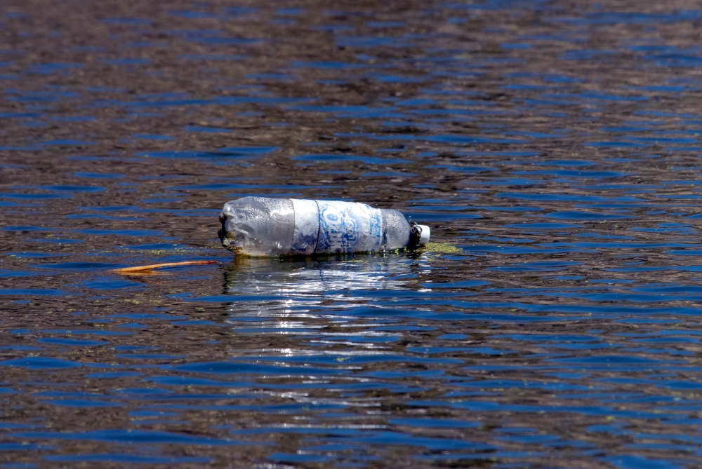 old bottle floating in lake 2705a