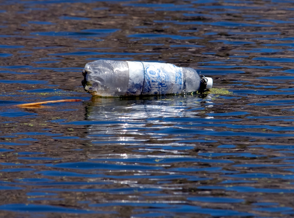 old bottle floating in lake 2705b