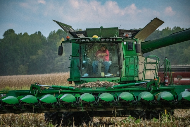 Operating the harvester for corn