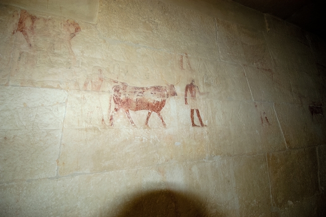 paintings-inside-tomb-step-pyramid-photo-image-1314